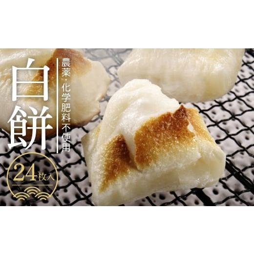 ふるさと納税 米・パン 餅 岐阜県 飛騨市 ＼先行予約/ こだわり 白餅 24枚(4枚×6袋) 飛騨河合 吉眞(よしざね)家が贈る 餅 モチ もち 切り餅 数量限定 期間…