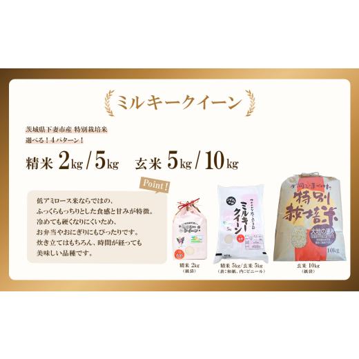 ふるさと納税 米 ミルキークイーン 茨城県 下妻市 11月出荷 令和7年産 新米 茨城県産 特別栽培米・ミルキークイーン 精米 2kg ( 紙袋 ) ミルキークイーン …
