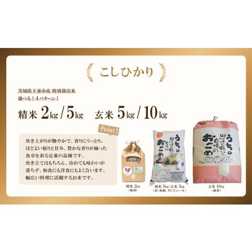 ふるさと納税 米 コシヒカリ 茨城県 下妻市 11月出荷 令和7年産 新米 茨城県産 特別栽培米・こしひかり 精米 5kg ( ビニール ) こしひかり 精米 5kg 14,000…