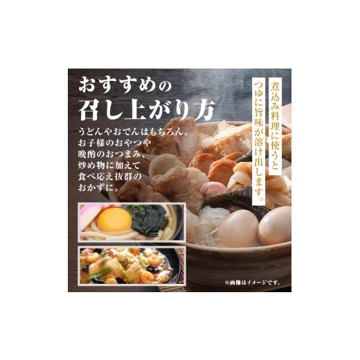 ふるさと納税 かまぼこ・練り製品 さつまあげ 鹿児島県 肝付町 P10008 老舗の味 さつま揚げ ミックスセットA(小) (計45個・平天：15枚 ／ 棒天：30本) 鹿児島 …の画像
