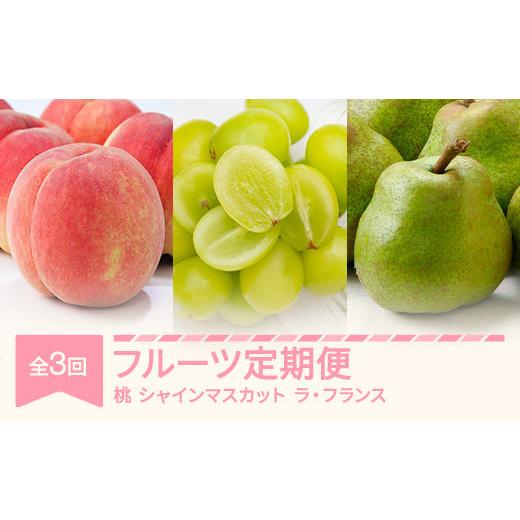 ふるさと納税 もも 山形県 村山市 先行予約 フルーツ定期便 全3回 白桃 シャインマスカット ラ・フランス 秀品 2026年産 令和8年産 沖縄・離島への配送不可 s…