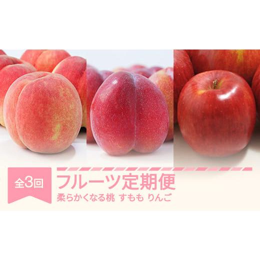 ふるさと納税 もも 山形県 村山市 先行予約 フルーツ定期便 全3回 白桃 すもも りんご 秀品 2026年産 令和8年産 沖縄・離島への配送不可 sb-fthpl3-b 2026年…