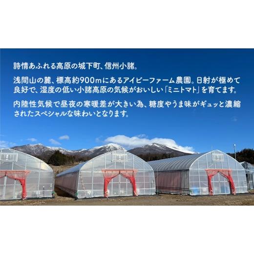 ふるさと納税 トマト ミニトマト 長野県 小諸市 ミニトマト 約1kg 注文時の食べごろ品種詰め合わせ アイビーファーム 長野 信州 小諸 産地直送 No.5915-1646_5