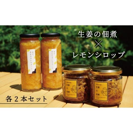 ふるさと納税 果汁飲料 セット 京都府 宮津市 レモンシロップと佃煮セット(各2個) myz11
