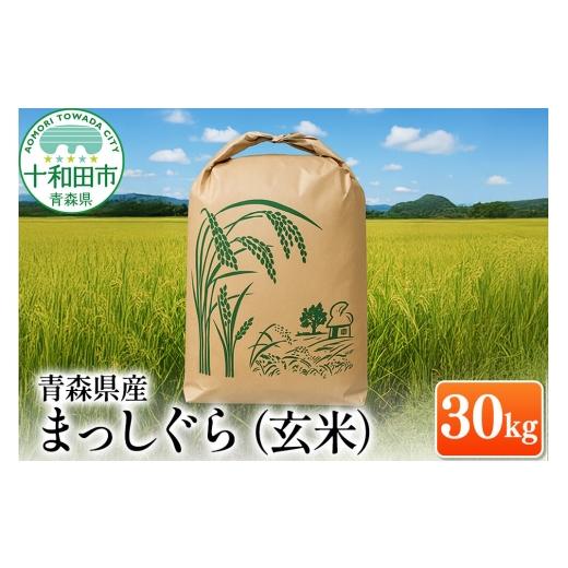 食品 青森県産 玄米30キロ