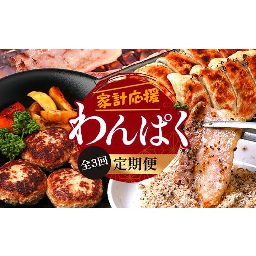 ふるさと納税 肉 ハンバーグ 鹿児島県 南大隅町 定期便全3回 ひかり麦豚 わんぱく定期便 月替わりで焼肉・ハンバーグ・餃子をお届け 冷凍 HM-10 | 肉 お肉 に…