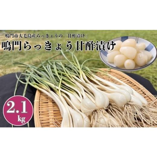 ふるさと納税 缶詰・瓶詰 野菜類 徳島県 鳴門市 鳴門らっきょう甘酢漬け| 鳴門海峡 らっきょう 甘酢漬 シャキシャキ 歯ごたえ 付け合わせ カレー サラダ …