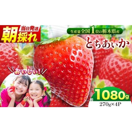 ふるさと納税 いちご 栃木県 那珂川町 那珂川町産とちあいか 270g×4P | 苺 イチゴ 大粒 甘い 贈答用 数量限定 果物 フルーツデザート 人気 贅沢 たっぷり …