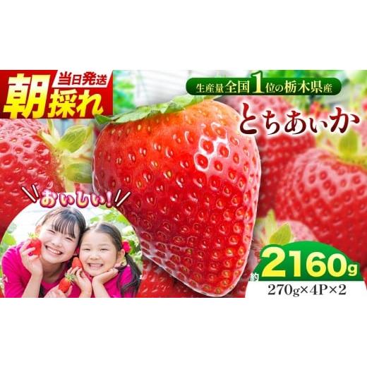 ふるさと納税 いちご 栃木県 那珂川町 那珂川町産とちあいか 270g×4P×2 | 苺 イチゴ 大粒 甘い 贈答用 数量限定 果物 フルーツデザート 人気 贅沢 たっぷ…