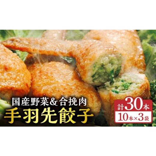 ふるさと納税 惣菜・レトルト 冷凍 宮崎県 宮崎市 手羽先餃子30本入り_M025-001-03 順次発送 手羽先餃子30本入り