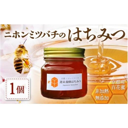 ふるさと納税 加工品等 はちみつ 京都府 綾部市 ニホンミツバチのはちみつ 300g×1本 | 京都産 非加熱 国産 百花蜜 自然のままの純粋蜂蜜 はちみつ ハチミツ …