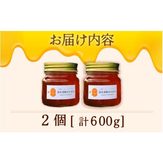 ふるさと納税 加工品等 はちみつ 京都府 綾部市 ニホンミツバチの