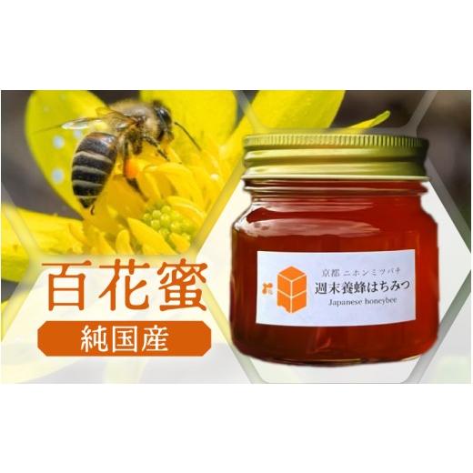 ふるさと納税 加工品等 はちみつ 京都府 綾部市  定期便 ニホンミツバチのはちみつ 300g×3回 | 京都産 非加熱 国産 百花蜜 自然のままの純粋蜂蜜 はちみつ ハ…の画像