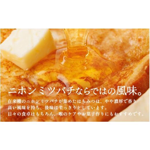 ふるさと納税 加工品等 はちみつ 京都府 綾部市  定期便 ニホンミツバチのはちみつ 300g×3回 | 京都産 非加熱 国産 百花蜜 自然のままの純粋蜂蜜 はちみつ ハ…の画像