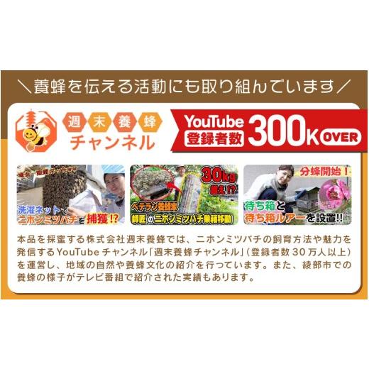 ふるさと納税 加工品等 はちみつ 京都府 綾部市  定期便 ニホンミツバチのはちみつ 300g×3回 | 京都産 非加熱 国産 百花蜜 自然のままの純粋蜂蜜 はちみつ ハ…の画像