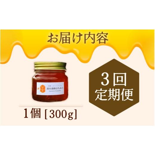 ふるさと納税 加工品等 はちみつ 京都府 綾部市  定期便 ニホンミツバチのはちみつ 300g×3回 | 京都産 非加熱 国産 百花蜜 自然のままの純粋蜂蜜 はちみつ ハ…の画像