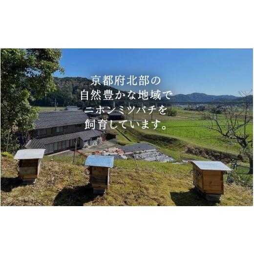 ふるさと納税 加工品等 はちみつ 京都府 綾部市  定期便 ニホンミツバチのはちみつ 300g×3回 | 京都産 非加熱 国産 百花蜜 自然のままの純粋蜂蜜 はちみつ ハ…の画像