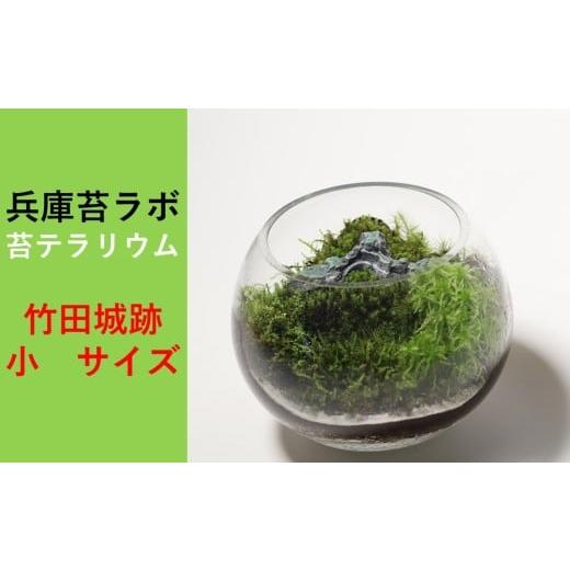 ふるさと納税 花・苗木 兵庫県 朝来市 丸形テラリウム(小) 天空の城 「竹田城跡」をイメージした苔テラリウム 丸型テラリウム(小) 26,000円寄附