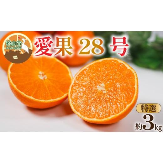 ふるさと納税 果物類 みかん 愛媛県 松山市 特選 愛果28号 (紅まどんな と同品種) 約3kg 2026年12月中旬頃から順次発送 | あいか 愛果28号 紅まどんな と同品…
