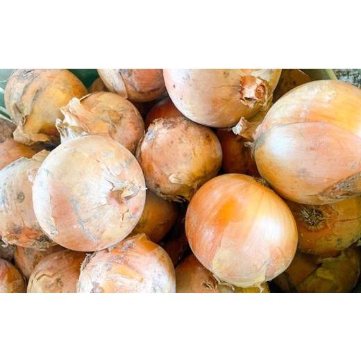 ふるさと納税 野菜類 玉ねぎ 兵庫県 南あわじ市  先行予約 あわじ島完熟たまねぎ 3kg  配送６月〜12月下旬 3kgの画像
