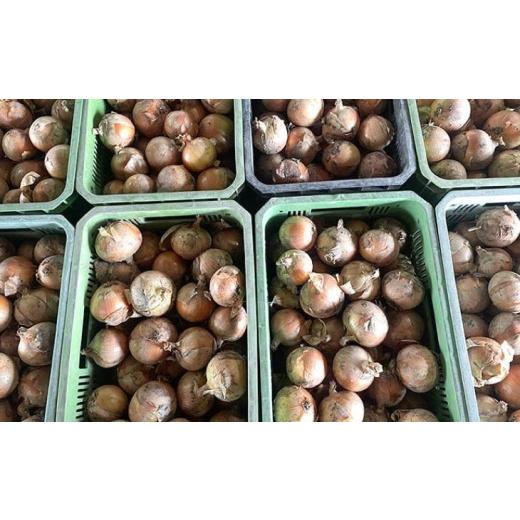 ふるさと納税 野菜類 玉ねぎ 兵庫県 南あわじ市  先行予約 あわじ島完熟たまねぎ 3kg  配送６月〜12月下旬 3kgの画像