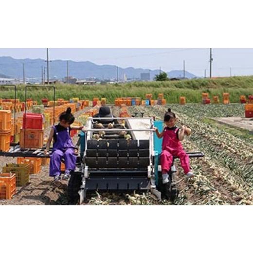 ふるさと納税 野菜類 玉ねぎ 兵庫県 南あわじ市  先行予約 あわじ島完熟たまねぎ 3kg  配送６月〜12月下旬 3kgの画像