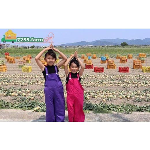 ふるさと納税 野菜類 玉ねぎ 兵庫県 南あわじ市  先行予約 あわじ島完熟たまねぎ 3kg  配送６月〜12月下旬 3kgの画像