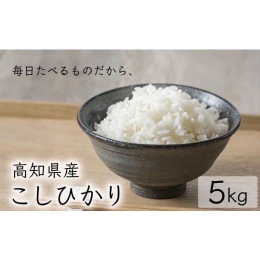 ふるさと納税 米 コシヒカリ 高知県 安芸市 令和7年産 コシヒカリ 白米 5kg 5kg