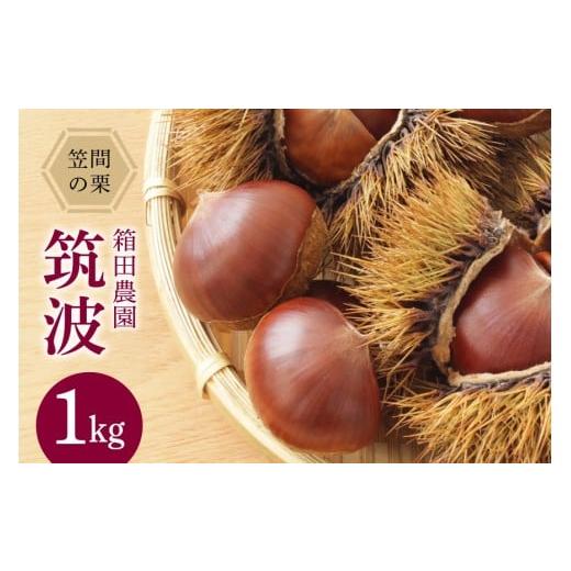 ふるさと納税 果物類 栗 茨城県 笠間市 2025年 秋 先行予約 笠間の栗・箱田農園の生栗「筑波 」1kg 栗 クリ くり 生栗 期間限定 数量限定 茨城県 笠間市