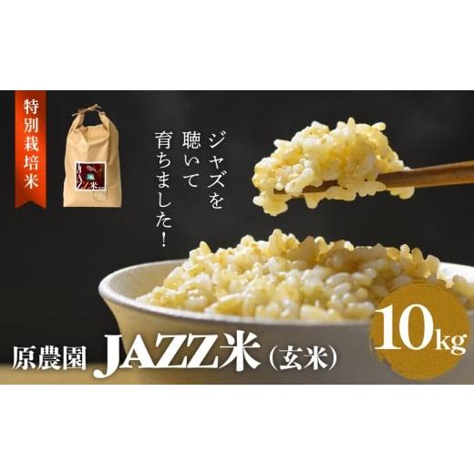 ふるさと納税 米 ヒノヒカリ 大分県 玖珠町 令和7年度産 原農園 JAZZ米 (玄米) 10kg ヒノヒカリ JAZZ米 JAZZ 玄米 原農園 米 銘柄米 きりかぶ山 水 肥料 有機…