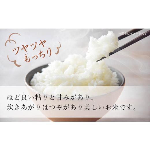ふるさと納税 米 北海道 厚沢部町 令和7年産 北海道厚沢部産ななつぼし25kg ふるさと納税 人気 おすすめ ランキング 米 ご飯 ごはん 白米 ななつぼし 精米 つ…
