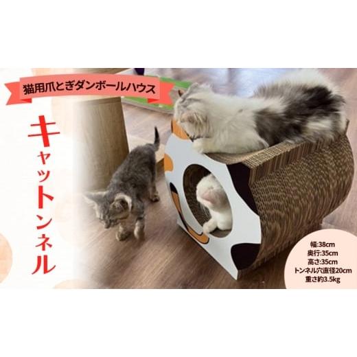 ふるさと納税 雑貨・日用品 埼玉県 和光市   キャットンネル(猫用爪とぎダンボールハウス)茶トラ 茶トラ