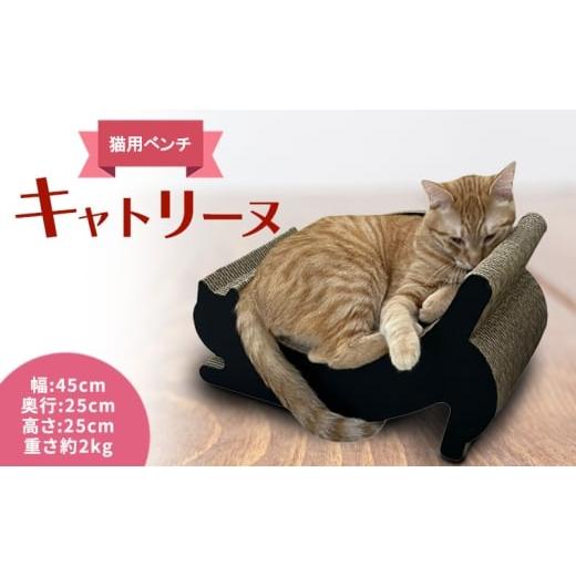 ふるさと納税 雑貨・日用品 埼玉県 和光市   キャトリーヌ(猫用ベンチ) 黒 黒