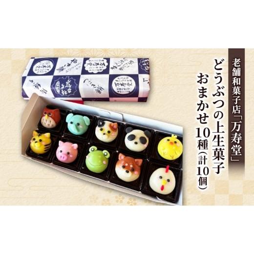 ふるさと納税 和菓子 生菓子 秋田県 羽後町 創業明治44年［菓子司 万寿堂］どうぶつの上生菓子 おまかせ10種（計10個） 秋田 羽後 西馬音内 菓子 和菓子 生菓…_1