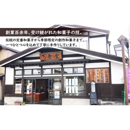 ふるさと納税 和菓子 生菓子 秋田県 羽後町 創業明治44年［菓子司 万寿堂］どうぶつの上生菓子 おまかせ10種（計10個） 秋田 羽後 西馬音内 菓子 和菓子 生菓…_3