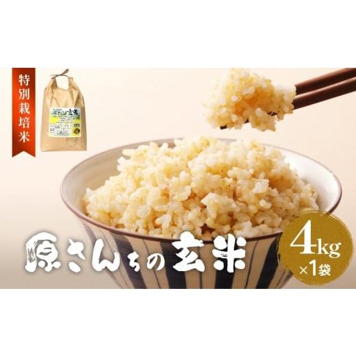ふるさと納税 玄米 大分県 玖珠町 令和7年度産 原さんちの玄米 4kg 