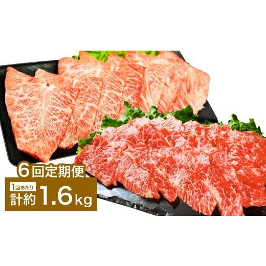ふるさと納税 牛肉 バラ(カルビ) 大分県 竹田市  6カ月定期便 上カルビ VS ミスジ 食べ比べ おおいた和牛 上カルビ焼肉 ・ ミスジ焼肉 約1.6kg×6回 計約27.6k…_1