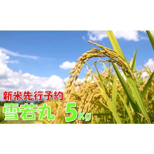 ふるさと納税 米 山形県 小国町 令和8年産米 先行予約 雪若丸5kg 高橋