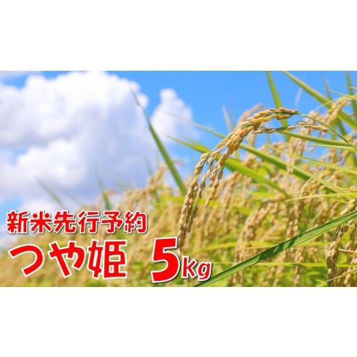 ふるさと納税 米 つや姫 山形県 小国町 令和8年産米 先行予約 つや姫5kg 高橋