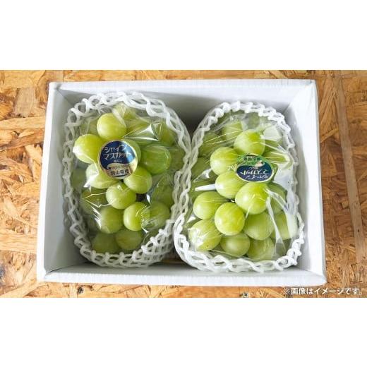 ふるさと納税 ぶどう マスカット 岡山県 美咲町 ぶどう 2026年 先行予約 シャイン マスカット 1房 700g以上 2026年9月上旬〜9月下旬発送予定 / ブドウ 葡萄 …