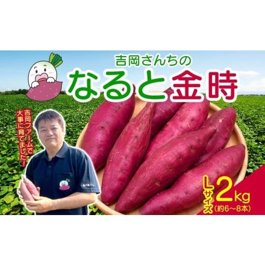 ふるさと納税 野菜類 サツマイモ 徳島県 鳴門市 「吉岡さんちのなると金時」 Lサイズ 2kg|さつまいも 鳴門金時 熟成 国産 スイーツ 焼いも 干し芋 ギフト 贈…