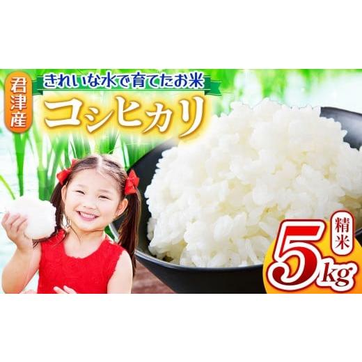 ふるさと納税 米 コシヒカリ 千葉県 君津市 9月下旬から順次発送 新米 令和7年産 コシヒカリ 5kg 精米 きれいな水で育てたお米 | 保坂農場 名水 おいしい…