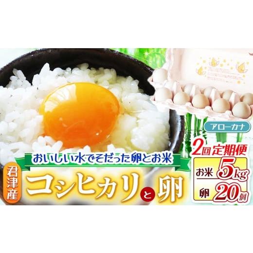 ふるさと納税 米 コシヒカリ 千葉県 君津市 お米と卵の 定期便 2回 新米 令和7年産 コシヒカリ ( 5kg ) 精米 & 青卵 アローカナ ( 20個 ) きれいな水で育て…
