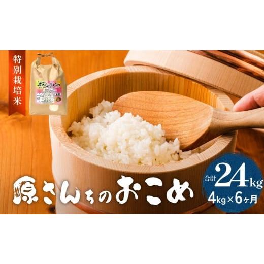 ふるさと納税 米 にこまる 大分県 玖珠町 令和7年度産 原さんちのお米 4kg にこまる 6回定期便 特別栽培米 原農園 有機栽培 化学肥料不使用 アートテン農法 …