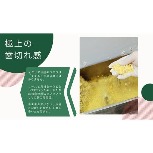 ふるさと納税 パスタ 生・半生めん 千葉県 市原市 パスタ 高級レストラン御用達の生パスタとソースのセット「ガーリックソースと鶏ひき肉の白ワイン煮　2食セ…_4