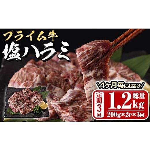 ふるさと納税 牛肉 ホルモン 大分県 佐伯市 定期便・全3回 (4か月ごとの発送) プライム牛 塩ハラミ(総量1.2kg) 定期便小分け 牛肉 肉 ハラミ 牛はらみ 味付け…
