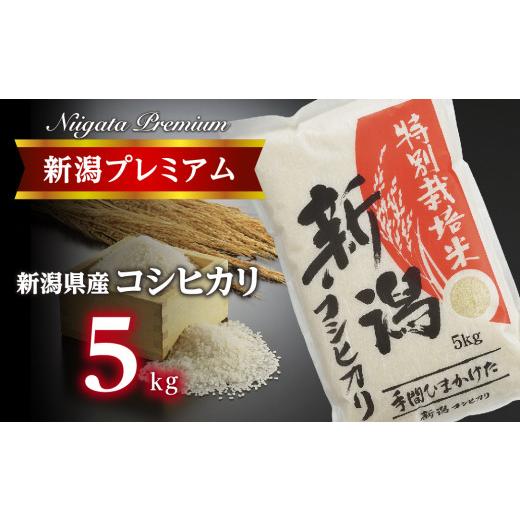 ふるさと納税 米 コシヒカリ 新潟県 燕市 令和7年産 新潟プレミアム