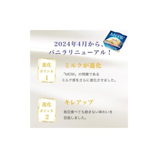 ふるさと納税 菓子 アイス 静岡県 裾野市 72. 定期便2ケ月 MOW（モウ） バニラ18個セット No.5812-0686の画像
