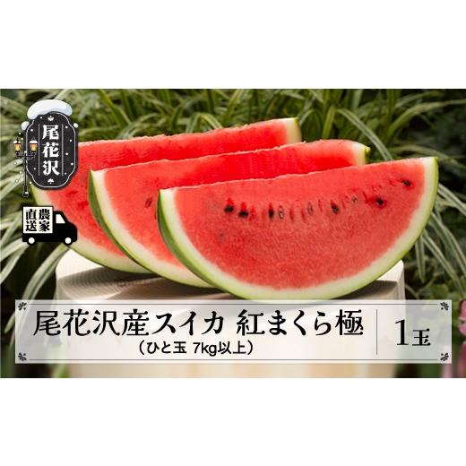 ふるさと納税 スイカ 山形県 尾花沢市 先行予約 尾花沢産スイカ 紅まくら 極 きわみ 2Lサイズ(7kg)以上 1玉 7月下旬〜順次発送 令和8年産 2026年産 kb-submk1