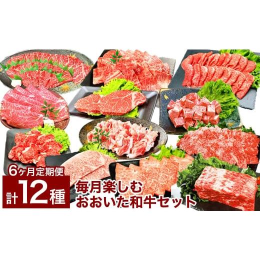 ふるさと納税 牛肉 大分県 竹田市 6カ月定期便 毎月違う部位が届く 人気 食べ比べセット 6カ月毎月楽しむ おおいた和牛 セット 合計約5.35kg